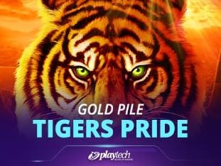 Gold Pile Tigers Pride screenshot